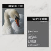 V Überschrift - Swan Visitenkarte (Vorne/Hinten)