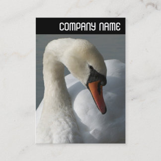 V Überschrift - Swan Visitenkarte