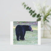 va schwarzer Bär Postkarte (Stehend Vorderseite)