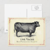 Vache Cow Postkarte (Vorne/Hinten)