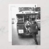 Vache dans le tramway postkarte (Vorne/Hinten)