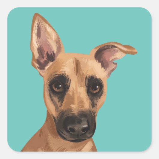 Vaden Jones Stickers (Vorderseite)