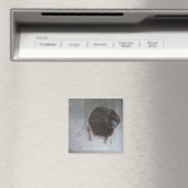 Vado in Cerca dei tuoi occhi Magnet (In Situ (Geschirrspüler))