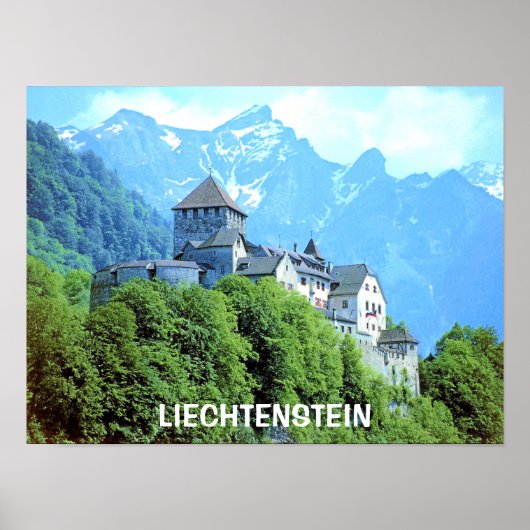 VADUZ CASTLE, LIECHTENSTEIN POSTER (Vorne)