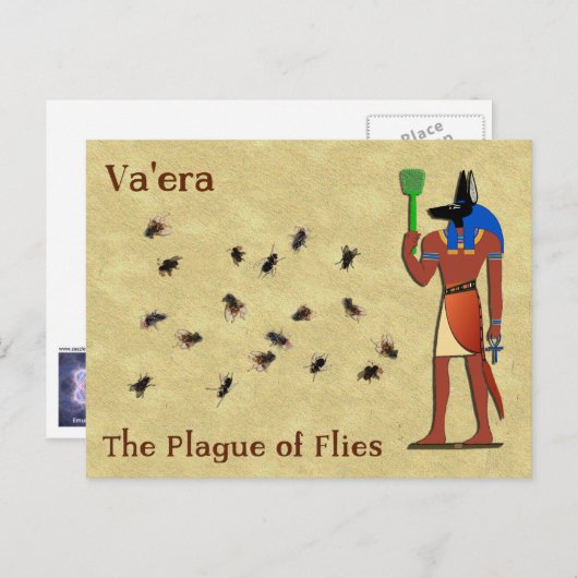 Va'era - die Seuche der Fliegen Postkarte (Vorne/Hinten)