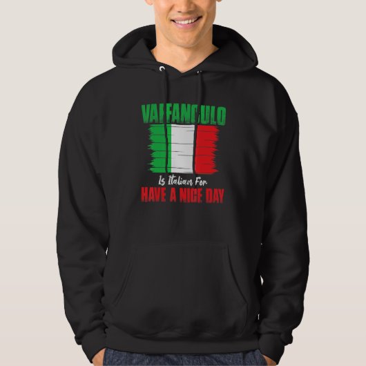 Vaffanculo Is Italian For Have A Nice Day Hoodie (Vorderseite)