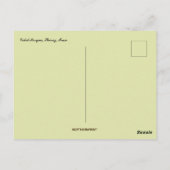 Vakil-Moschee Schiraz Iran Postkarte (Rückseite)