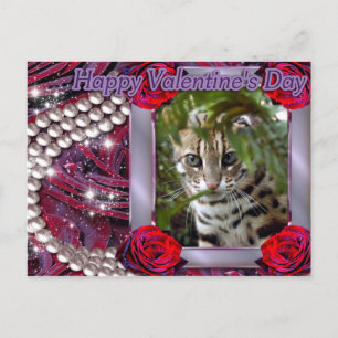 val-bengalisch-cat-00073-6x4 feiertagspostkarte