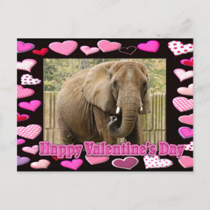 val-Elefant-00045-6x4 Postkarte