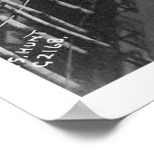 Valdez, Alaska Birdseye 1905 Poster (Ecke)