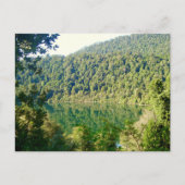 Valdivian Temperate Forest, Chile Postkarte (Vorderseite)