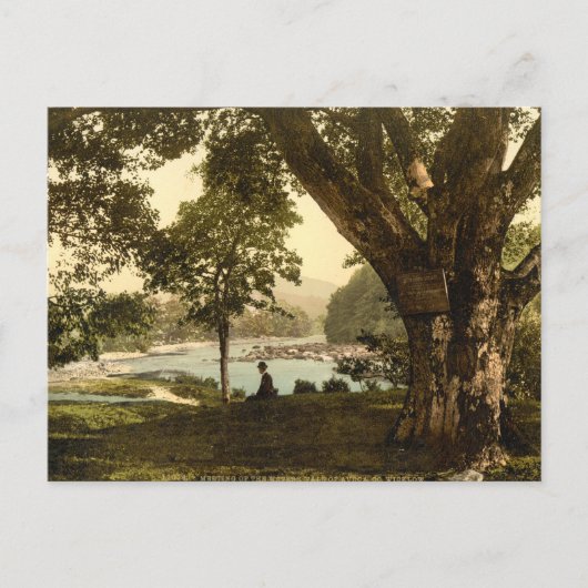 Vale of Avoca, Landkreis Wicklow Postkarte (Vorderseite)