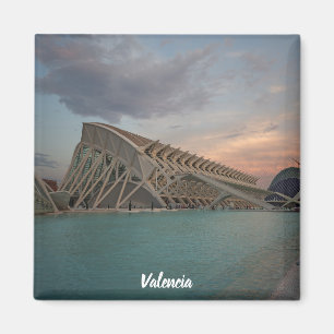 Valencia ‚Ciudad de las artes y las ciencias‘ Magnet