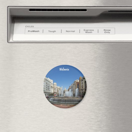 Valencia Magnet (In Situ (Geschirrspüler))