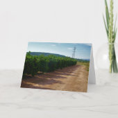 Valencia Orange Grove Landschaft Karte (Vorderseite)