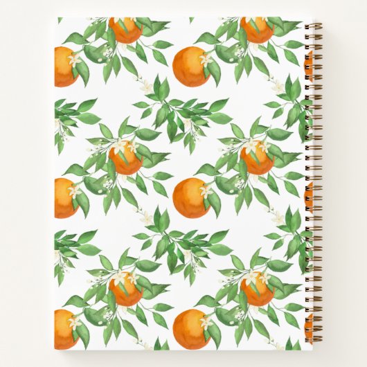 Valencia Orange Rezept Buch (Rückseite)