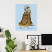 Valencian Figurita Pigeon Portrait Poster (Heimbüro)
