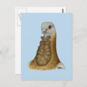 Valencian Figurita Pigeon Portrait Postkarte (Vorne/Hinten)