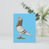 Valencian Figurita Pigeon Postkarte (Stehend Vorderseite)