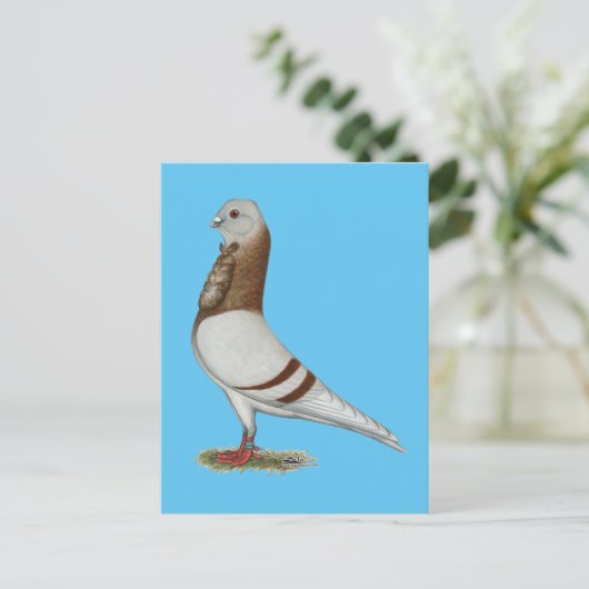 Valencian Figurita Pigeon Postkarte (Stehend Vorderseite)