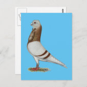 Valencian Figurita Pigeon Postkarte (Vorne/Hinten)