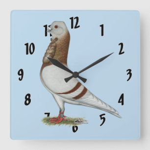 Valencian Figurita Pigeon Quadratische Wanduhr
