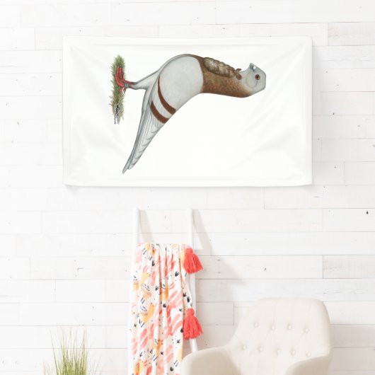 Valencian Figurita Taube Banner (Insitu)