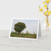 Valencian Mandarin Tree Landschaft Karte (Gelbe Blume)