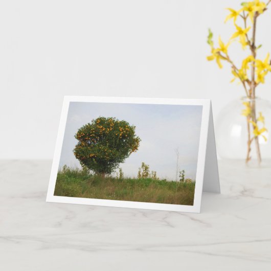 Valencian Mandarin Tree Landschaft Karte (Gelbe Blume)