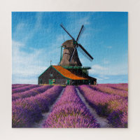 Valensole Lavender Fields Provence Frankreich