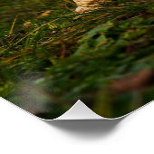 Valentijn bankje met fubby liefde's humor. poster (Ecke)