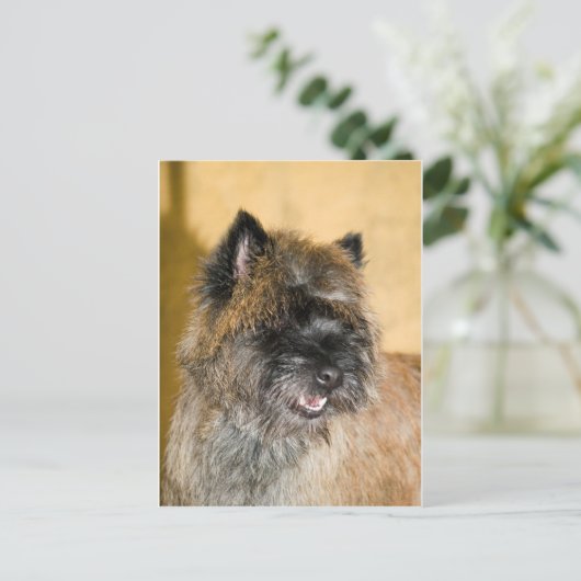 Valentin Postkarte (Stehend Vorderseite)