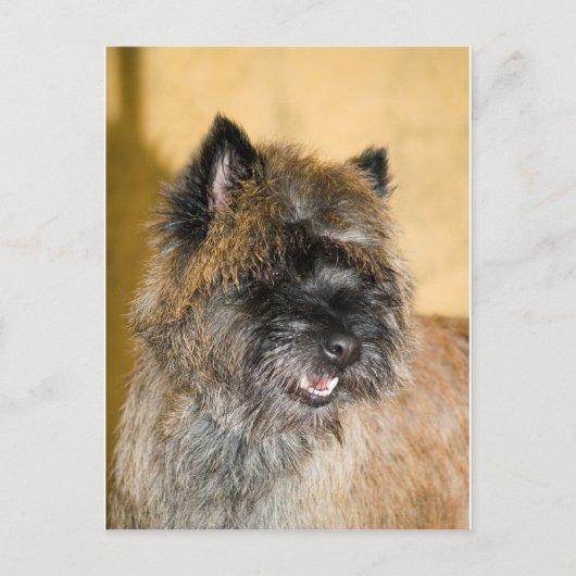 Valentin Postkarte (Vorderseite)