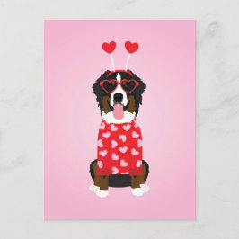 Valentine Bernese Mountain Dog Postkarte