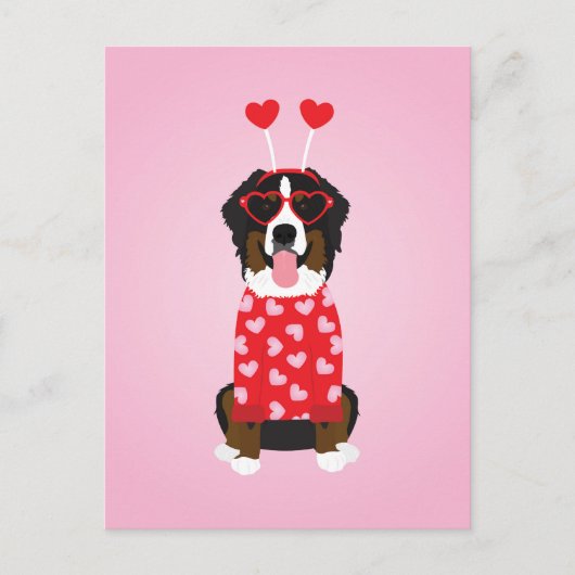 Valentine Bernese Mountain Dog Postkarte (Vorderseite)