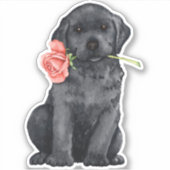 Valentine Black Lab Vinyl Sticker (Vorderseite)