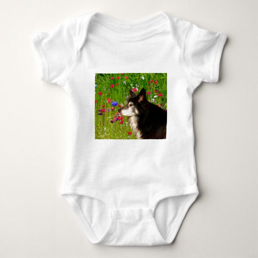 Valentine Border Collie mit wunderschönen Blume Baby Strampler (Vorderseite)