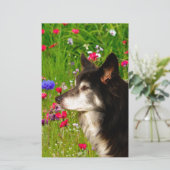 Valentine Border Collie mit wunderschönen Blume Briefpapier (Stehend Vorderseite)