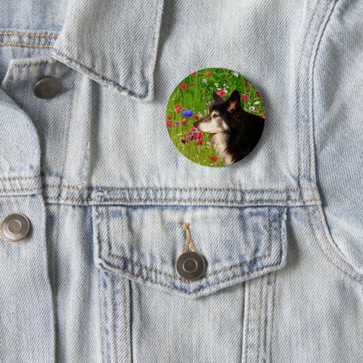 Valentine Border Collie mit wunderschönen Blume Button (Beispiel)