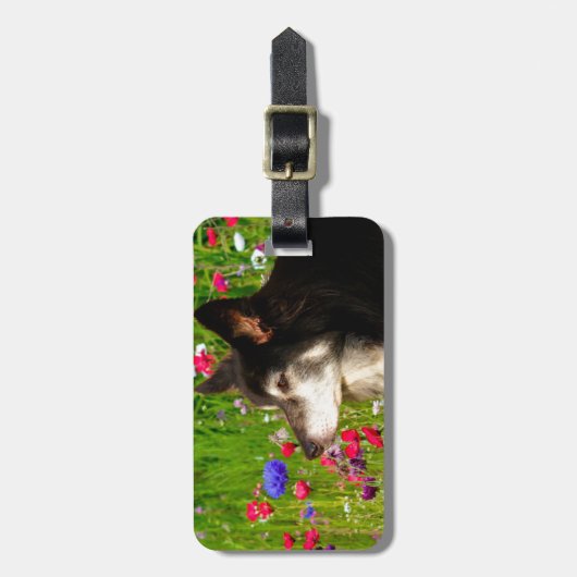 Valentine Border Collie mit wunderschönen Blume Gepäckanhänger (Vorderseite vertikal)