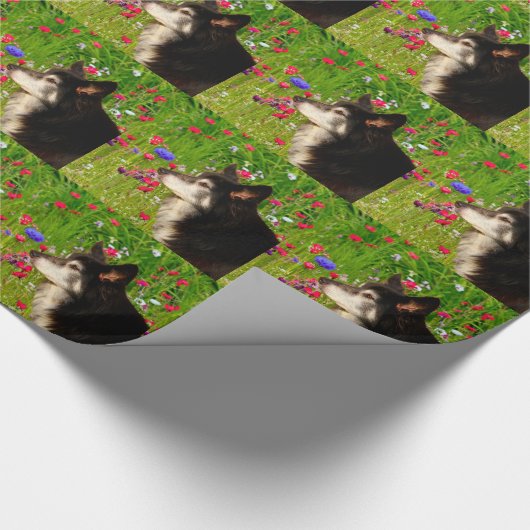 Valentine Border Collie mit wunderschönen Blume Geschenkpapier (Ecke)