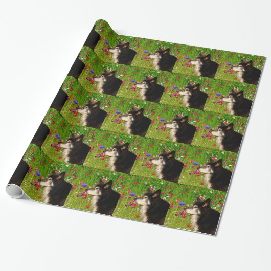 Valentine Border Collie mit wunderschönen Blume Geschenkpapier (Ungerollt)