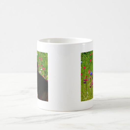 Valentine Border Collie mit wunderschönen Blume Kaffeetasse (Mittel)