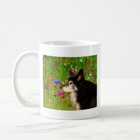 Valentine Border Collie mit wunderschönen Blume Kaffeetasse (Links)