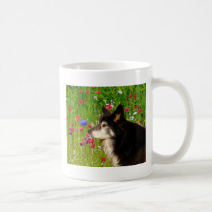 Valentine Border Collie mit wunderschönen Blume Kaffeetasse