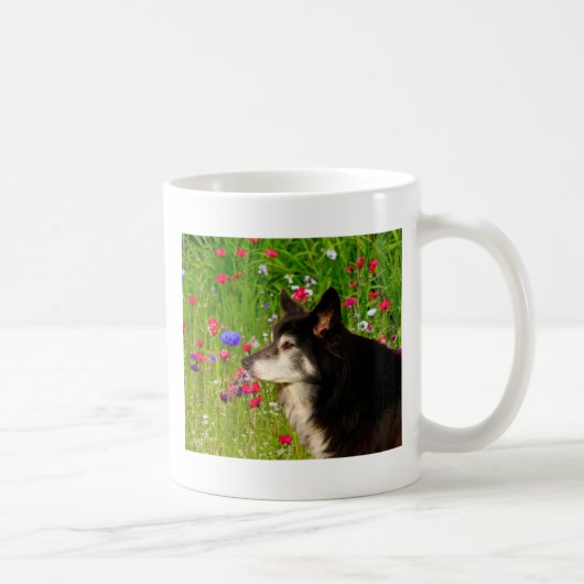 Valentine Border Collie mit wunderschönen Blume Kaffeetasse (Rechts)