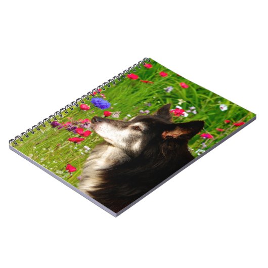 Valentine Border Collie mit wunderschönen Blume Notizblock (Linke Seite)