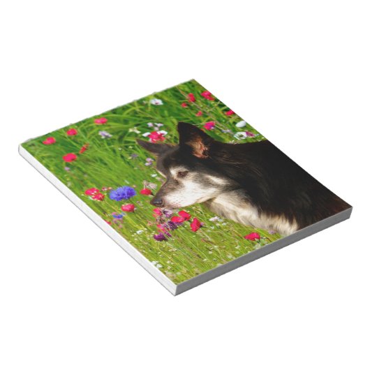 Valentine Border Collie mit wunderschönen Blume Notizblock (angewinkelt)