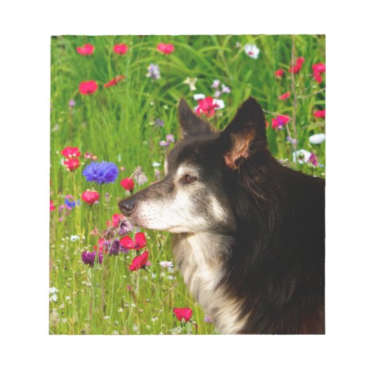 Valentine Border Collie mit wunderschönen Blume Notizblock (Vorderseite)