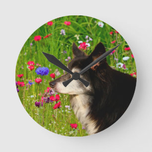 Valentine Border Collie mit wunderschönen Blume Runde Wanduhr